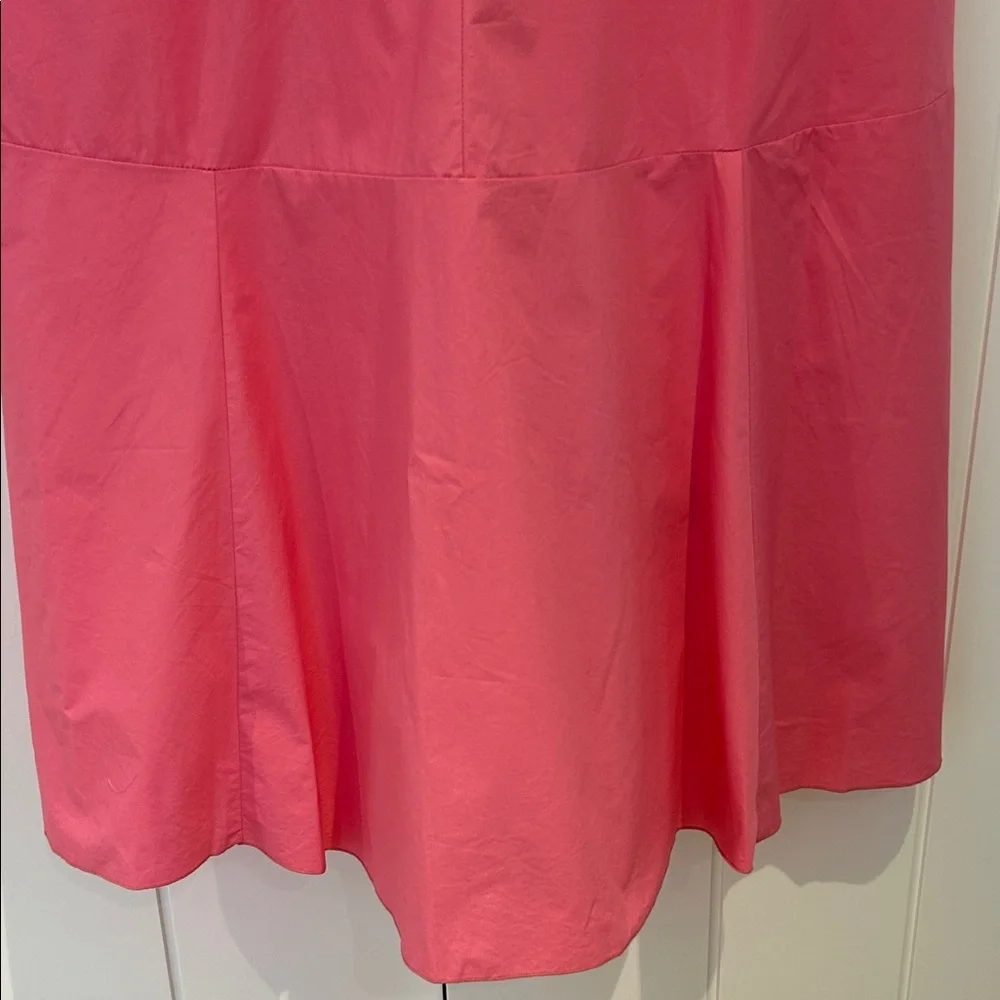 Pink Sleeveless Ruffle Dress - Picture 10 of 11
